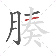 腠的笔顺第6画:横 腠的笔顺第6画:横