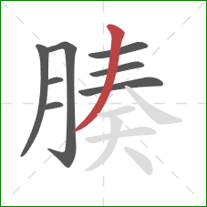 腠的笔顺第8画:撇 腠的笔顺第8画:撇