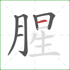 腥的笔顺第7画：横