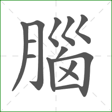 腦的笔顺