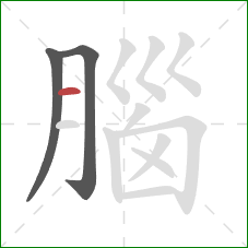 腦的笔顺第3画：横