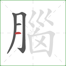 腦的笔顺第4画：横