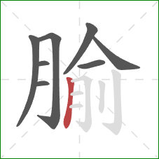 腧的笔顺第8画：竖