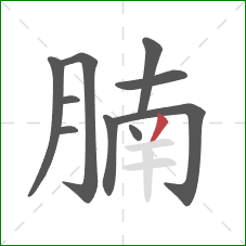 腩的笔顺第10画：撇