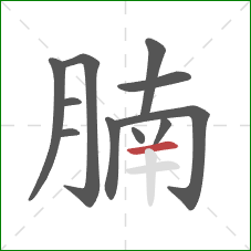 腩的笔顺第11画：横