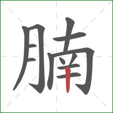 腩的笔顺第13画：竖