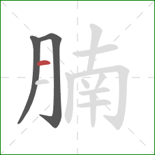 腩的笔顺第3画：横