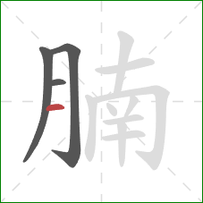 腩的笔顺第4画：横