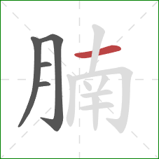 腩的笔顺第5画：横