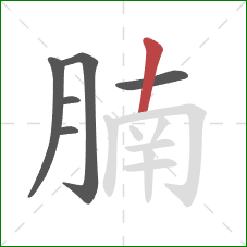 腩的笔顺第6画：竖