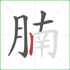 腩的笔顺第7画：竖