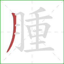 腫的笔顺第1画：撇