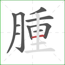 腫的笔顺第10画：横