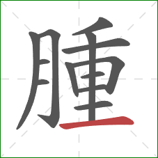 腫的笔顺第13画：横