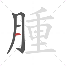 腫的笔顺第4画：横