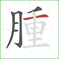 腫的笔顺第6画：横