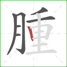 腫的笔顺第7画：竖
