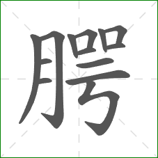 腭的笔顺 腭的笔顺