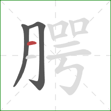 腭的笔顺第3画:横 腭的笔顺第3画:横