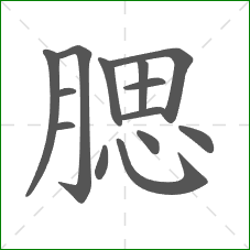 腮的笔顺 腮的笔顺