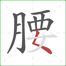 腰的笔顺第11画：撇点