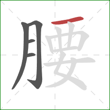 腰的笔顺第5画：横