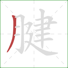 腱的笔顺第1画：撇