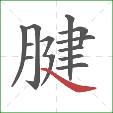 腱的笔顺第12画：捺
