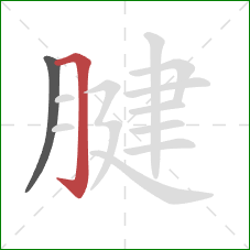 腱的笔顺第2画：横折钩