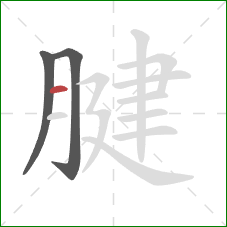 腱的笔顺第3画：横