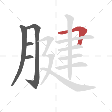 腱的笔顺第5画：横折