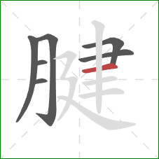 腱的笔顺第7画：横