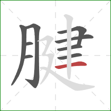 腱的笔顺第9画：横