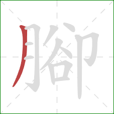 腳的笔顺第1画：撇