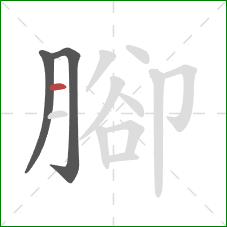 腳的笔顺第3画：横