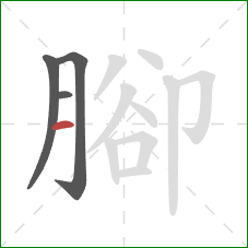 腳的笔顺第4画：横