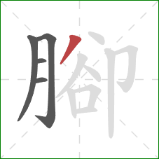 腳的笔顺第5画：撇