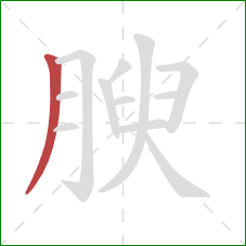 腴的笔顺第1画：撇