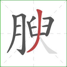 腴的笔顺第11画：撇