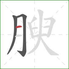 腴的笔顺第3画：横