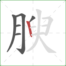 腴的笔顺第6画：竖