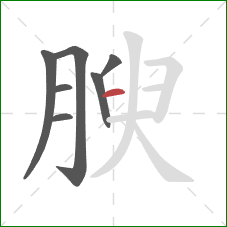 腴的笔顺第7画：横