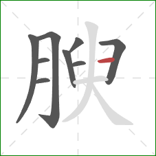 腴的笔顺第9画：横