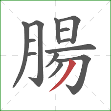 腸的笔顺第13画:撇 腸的笔顺第13画:撇