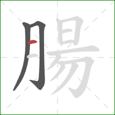 腸的笔顺第3画:横 腸的笔顺第3画:横