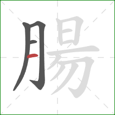 腸的笔顺第4画:横 腸的笔顺第4画:横