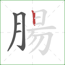 腸的笔顺第5画:竖 腸的笔顺第5画:竖