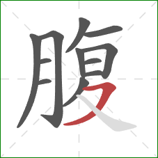 腹的笔顺第12画：横撇