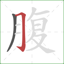 腹的笔顺第2画：横折钩