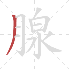 腺的笔顺第1画：撇